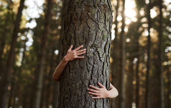 Hug a Tree, They Have Less Issues  than People